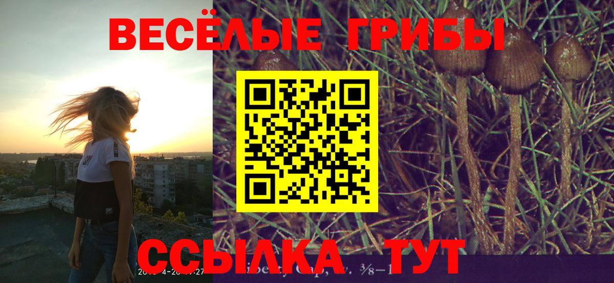 Псилоцибиновые грибы ЛСД  Псилоцибиновые грибы Psilocybe  Вход с VPN  Осинники 