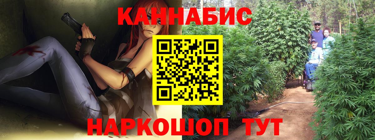 Бошки марихуана Amnesia  Шишки марихуана сатива  Каннабис планчик  Осинники  МАРИХУАНА конопля  Вход с VPN 